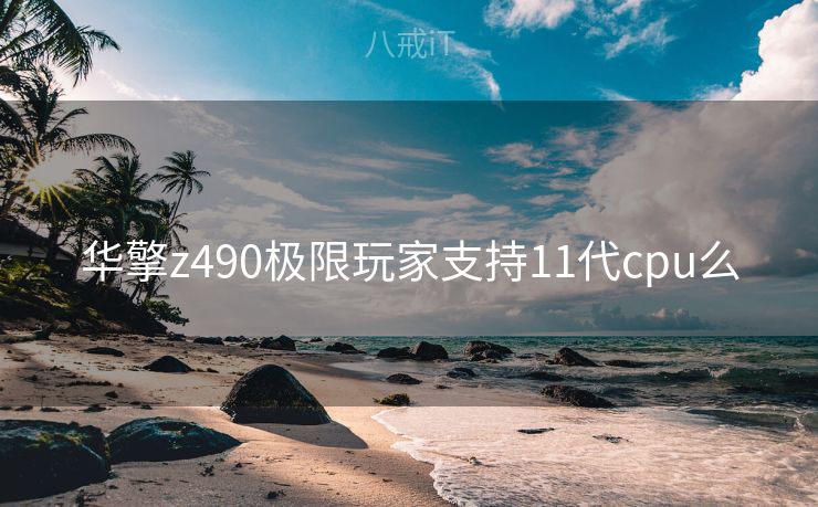 华擎z490极限玩家支持11代cpu么