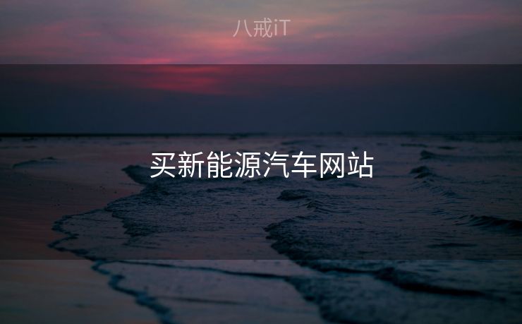 买新能源汽车网站