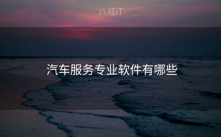  汽车服务专业软件有哪些