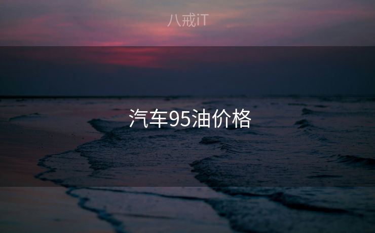  汽车95油价格