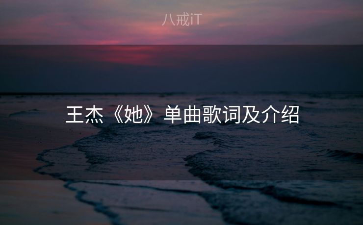 王杰《她》单曲歌词及介绍