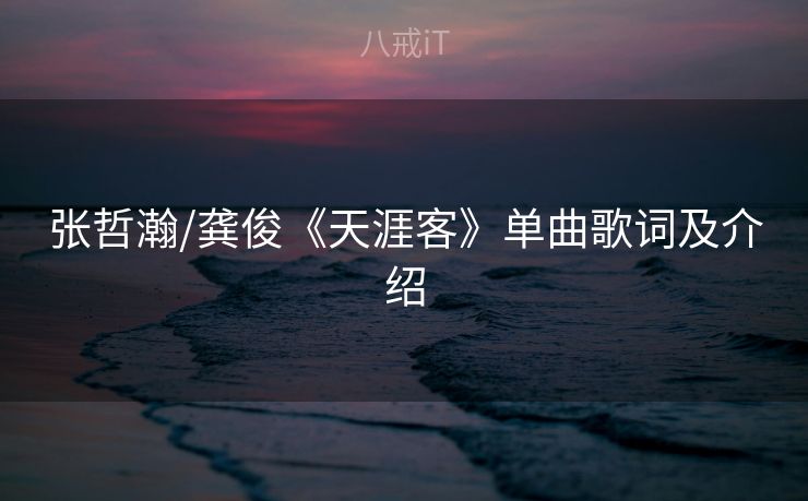 张哲瀚/龚俊《天涯客》单曲歌词及介绍