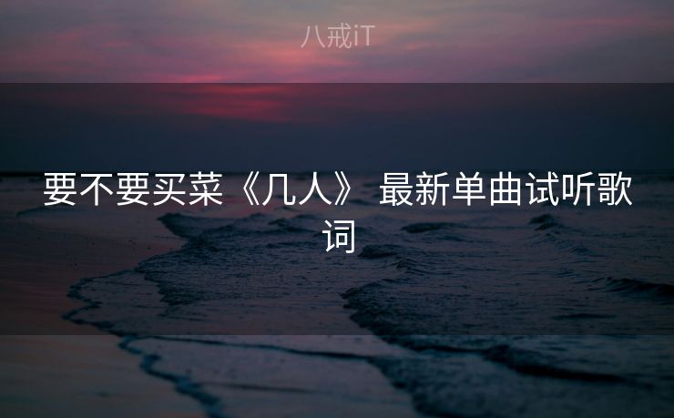 要不要买菜《几人》 最新单曲试听歌词