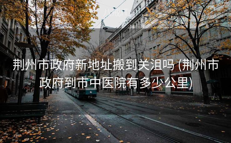 荆州市政府新地址搬到关沮吗 (荆州市政府到市中医院有多少公里)