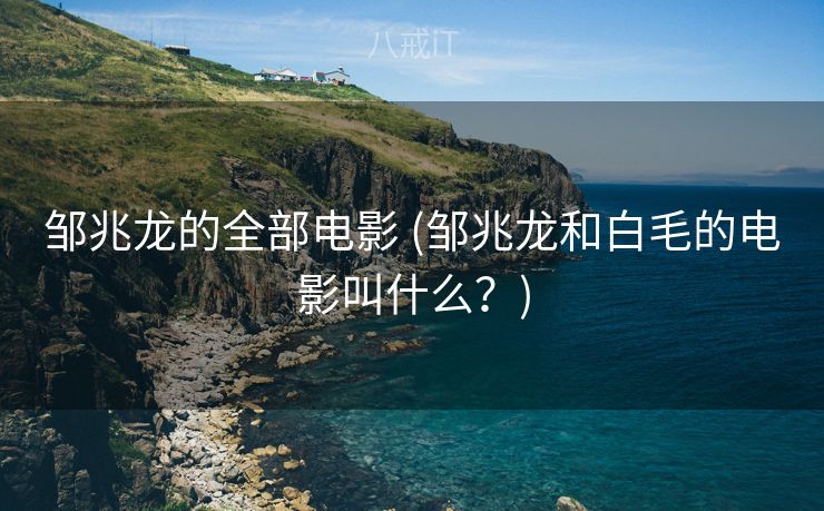 邹兆龙的全部电影 (邹兆龙和白毛的电影叫什么？)