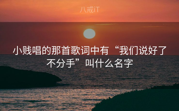小贱唱的那首歌词中有“我们说好了不分手”叫什么名字