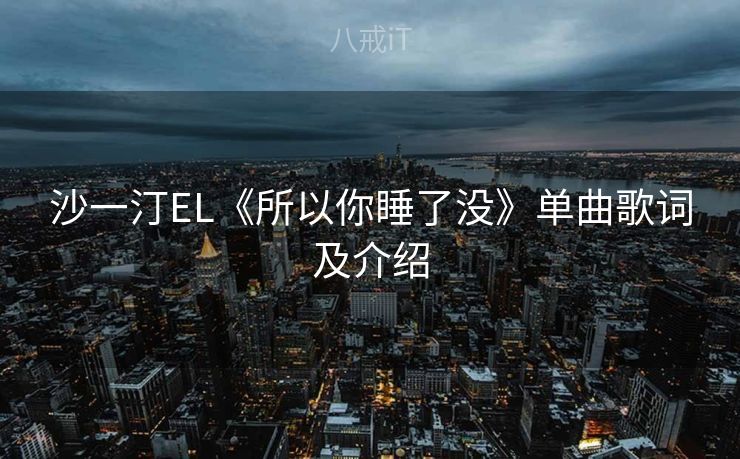 沙一汀EL《所以你睡了没》单曲歌词及介绍