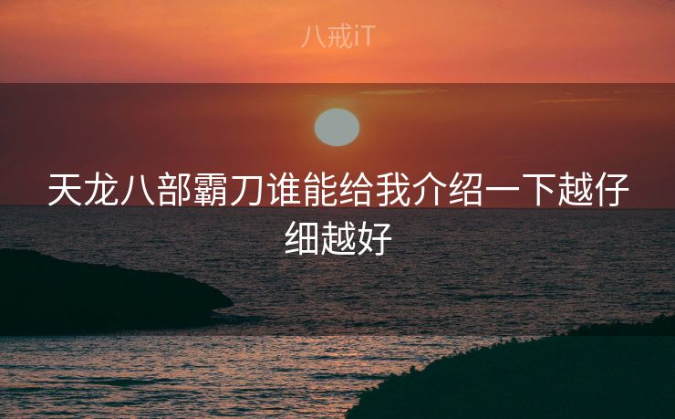 天龙八部霸刀谁能给我介绍一下越仔细越好