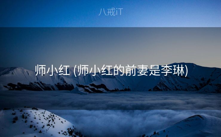 师小红 (师小红的前妻是李琳)