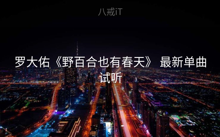罗大佑《野百合也有春天》 最新单曲试听