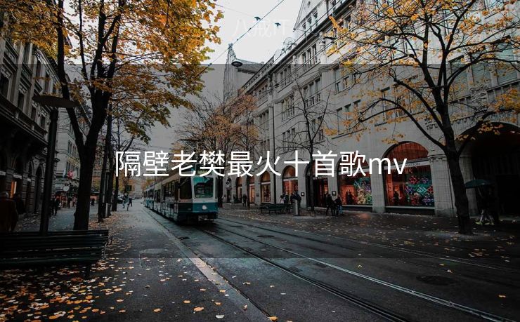 隔壁老樊最火十首歌mv