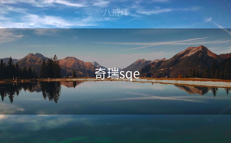  奇瑞sqe