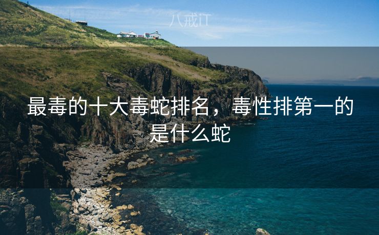 最毒的十大毒蛇排名，毒性排第一的是什么蛇