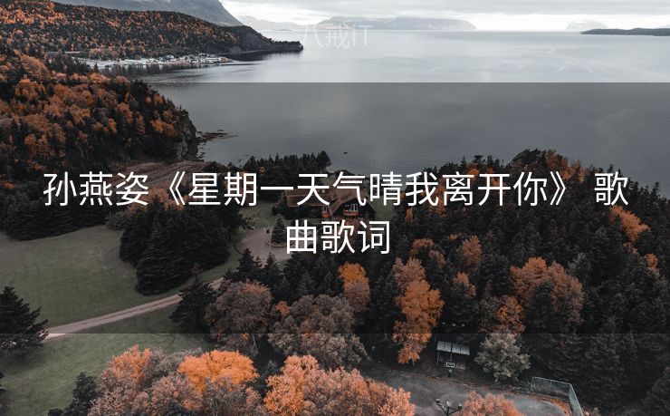 孙燕姿《星期一天气晴我离开你》 歌曲歌词