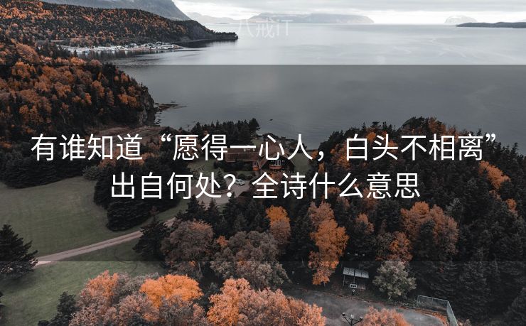 有谁知道“愿得一心人，白头不相离”出自何处？全诗什么意思