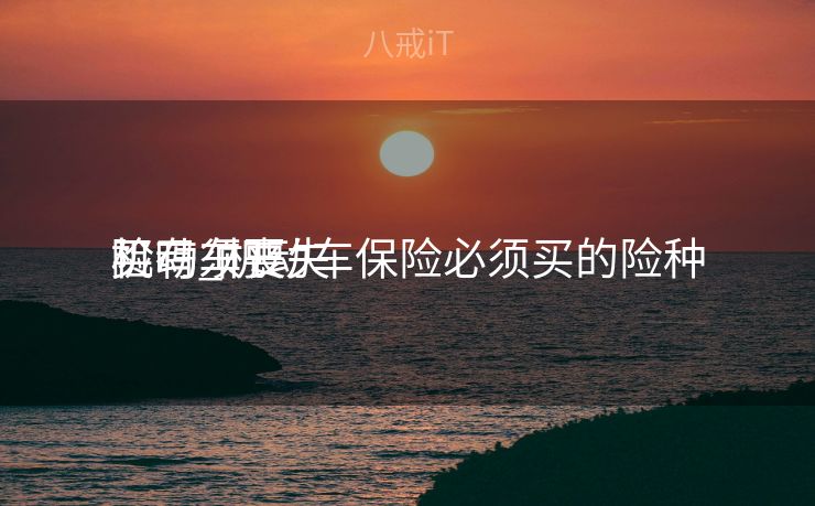 机动车丧失
险有须要
买吗_机动车保险必须买的险种