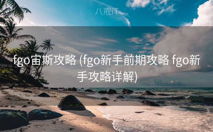 fgo宙斯攻略 (fgo新手前期攻略 fgo新手攻略详解)