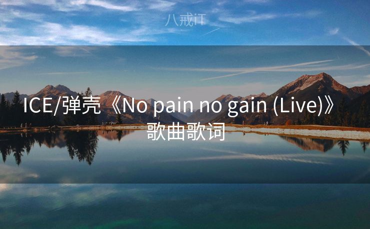 ICE/弹壳《No pain no gain (Live)》 歌曲歌词