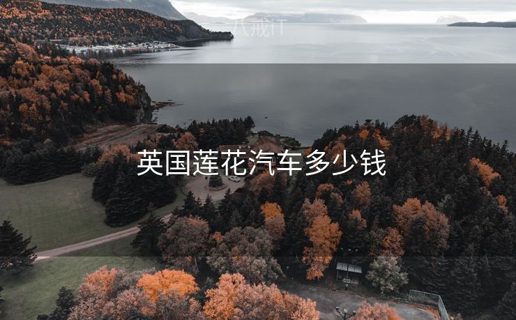  英国莲花汽车多少钱
