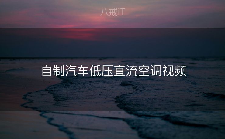 自制汽车低压直流空调视频