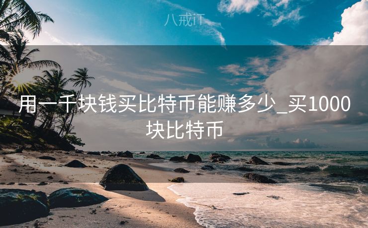用一千块钱买比特币能赚多少_买1000块比特币 用一千块钱买比特币能赚多少_买1000块比特币