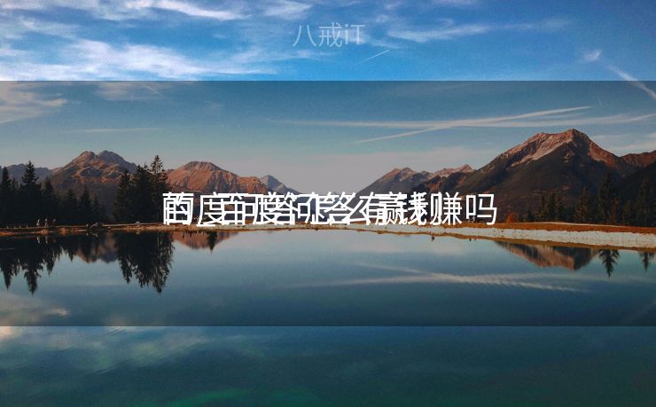 百度问答怎么赢利
的_百度问答有钱赚吗