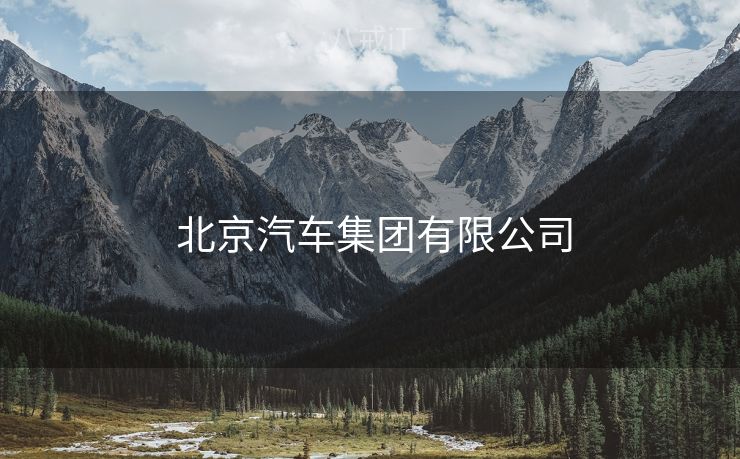  北京汽车集团有限公司