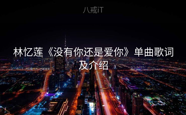 林忆莲《没有你还是爱你》单曲歌词及介绍
