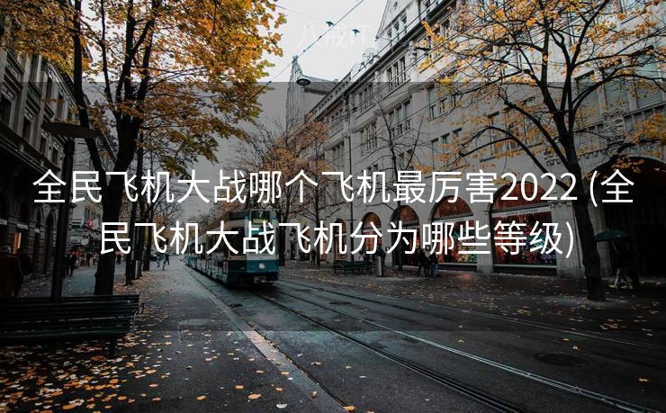 全民飞机大战哪个飞机最厉害2022 (全民飞机大战飞机分为哪些等级)