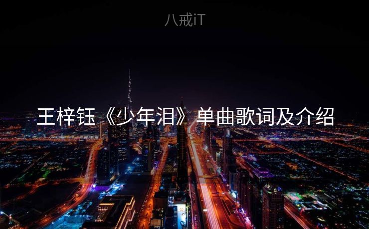 王梓钰《少年泪》单曲歌词及介绍