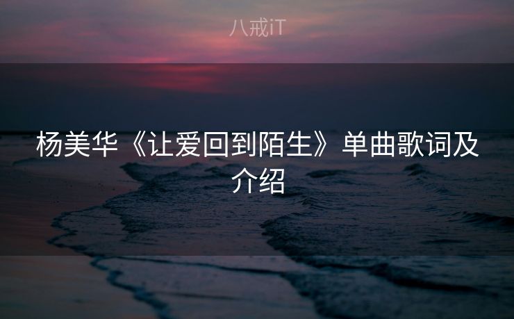 杨美华《让爱回到陌生》单曲歌词及介绍