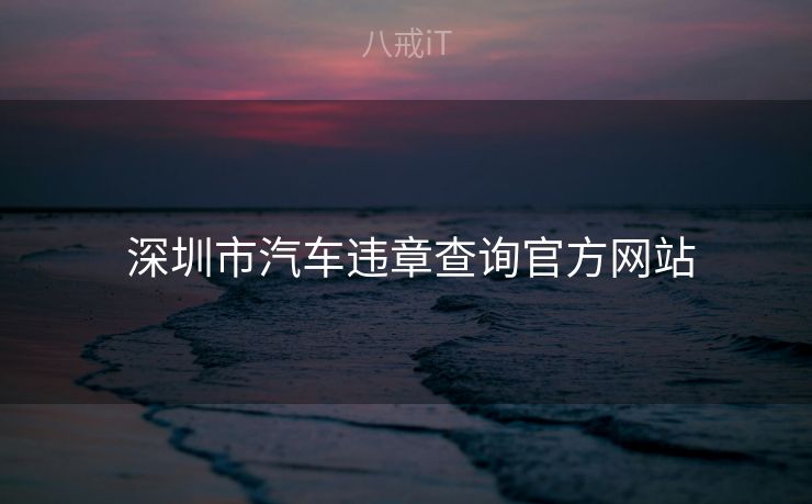  深圳市汽车违章查询官方网站