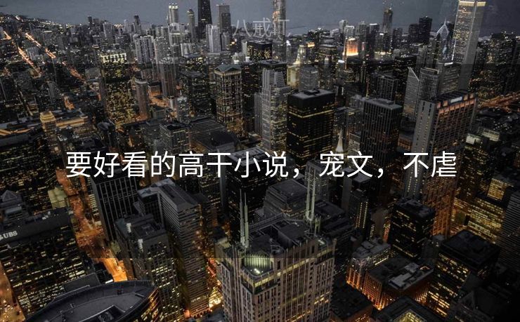 要好看的高干小说，宠文，不虐
