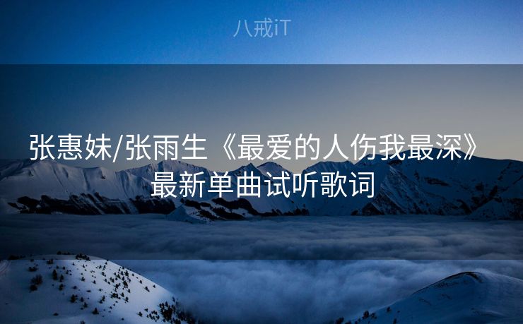 张惠妹/张雨生《最爱的人伤我最深》 最新单曲试听歌词