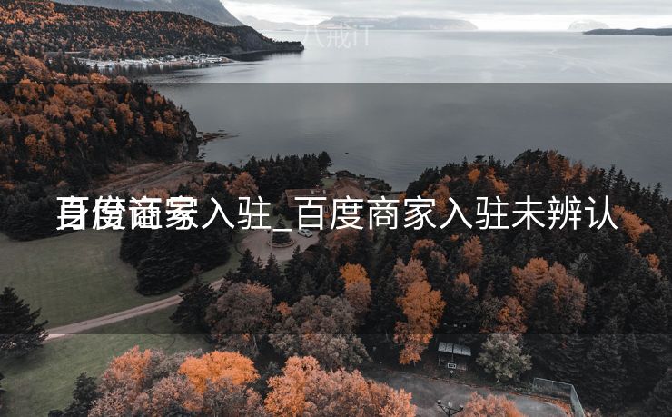 百度商家入驻_百度商家入驻未辨认
身份证号