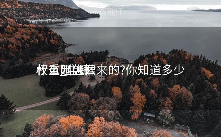 什么叫店肆
权重_店肆
权重是怎么来的?你知道多少 什么叫店肆
权重_店肆
权重是怎么来的?你知道多少