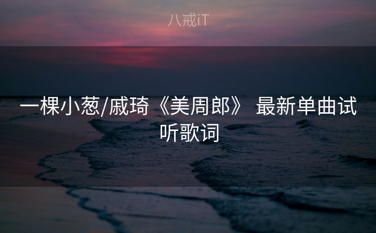一棵小葱/戚琦《美周郎》 最新单曲试听歌词