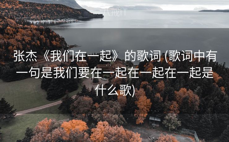 张杰《我们在一起》的歌词 (歌词中有一句是我们要在一起在一起在一起是什么歌)