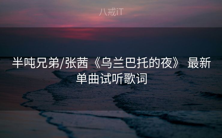 半吨兄弟/张茜《乌兰巴托的夜》 最新单曲试听歌词