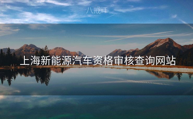  上海新能源汽车资格审核查询网站