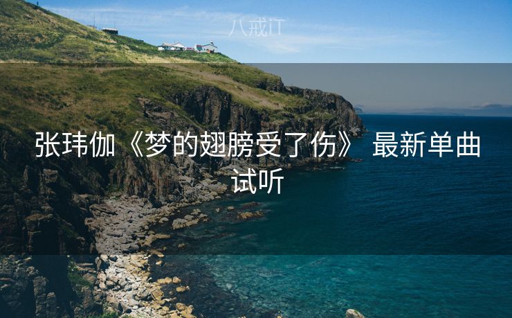 张玮伽《梦的翅膀受了伤》 最新单曲试听