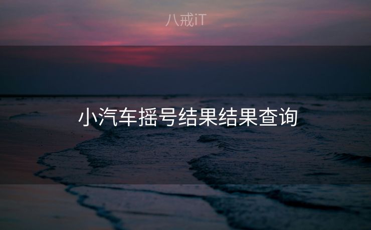  小汽车摇号结果结果查询