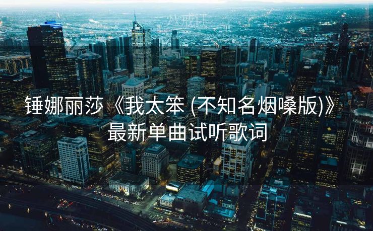 锤娜丽莎《我太笨 (不知名烟嗓版)》 最新单曲试听歌词