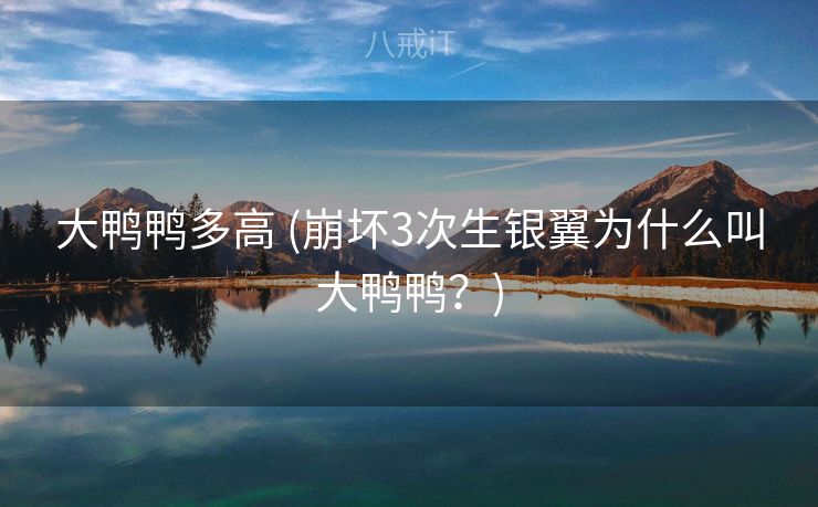 大鸭鸭多高 (崩坏3次生银翼为什么叫大鸭鸭？)