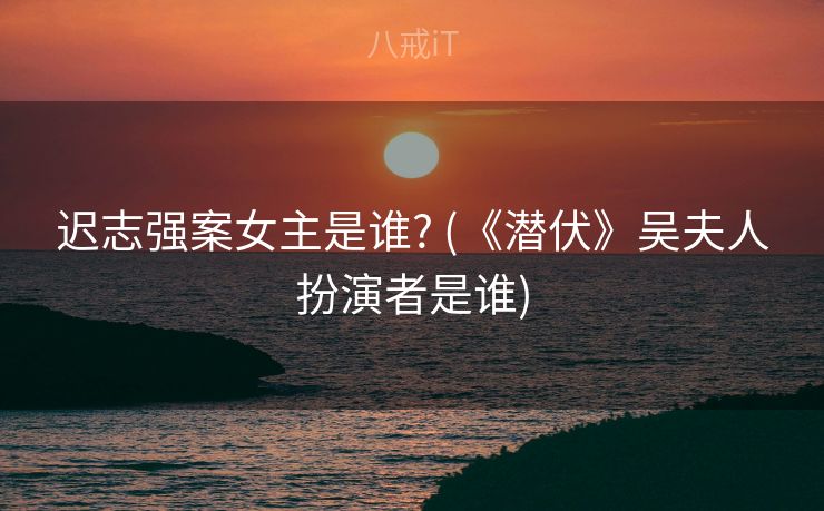 迟志强案女主是谁? (《潜伏》吴夫人扮演者是谁)