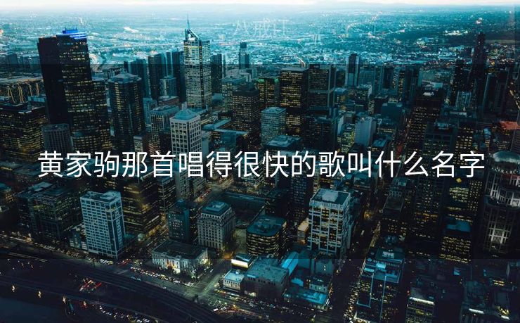 黄家驹那首唱得很快的歌叫什么名字