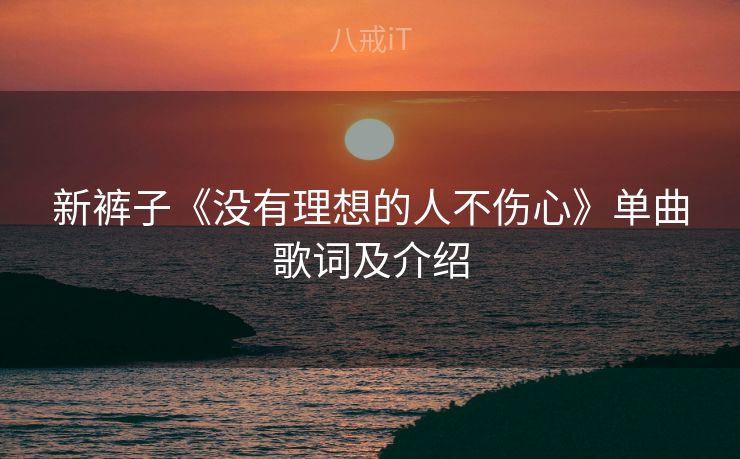 新裤子《没有理想的人不伤心》单曲歌词及介绍