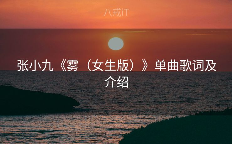 张小九《雾（女生版）》单曲歌词及介绍