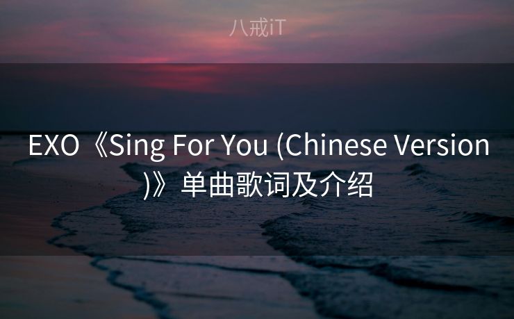 EXO《Sing For You (Chinese Version)》单曲歌词及介绍