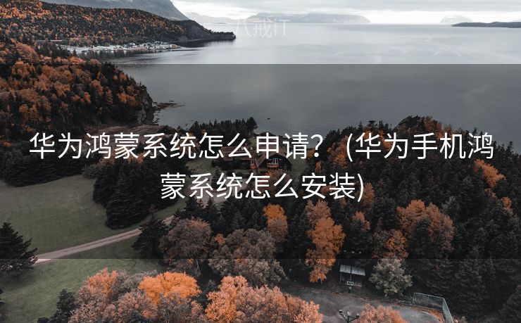 华为鸿蒙系统怎么申请？ (华为手机鸿蒙系统怎么安装)